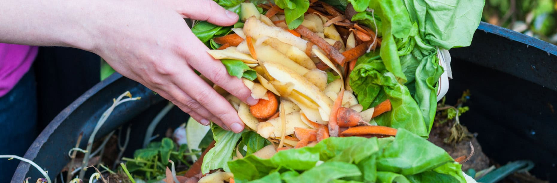 Food waste composting