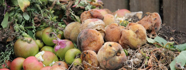 Composting fruit