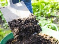 Digging compost