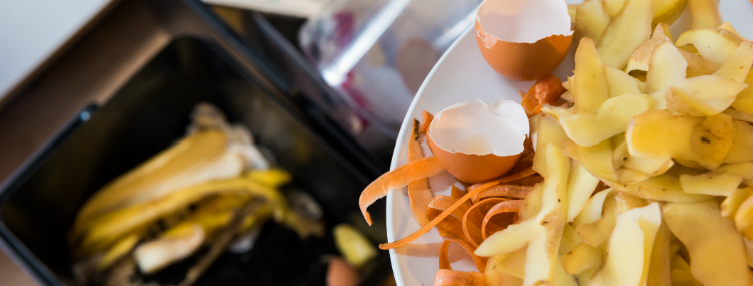 What happens to recycled food waste?