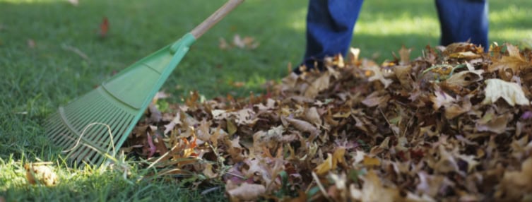 Garden waste