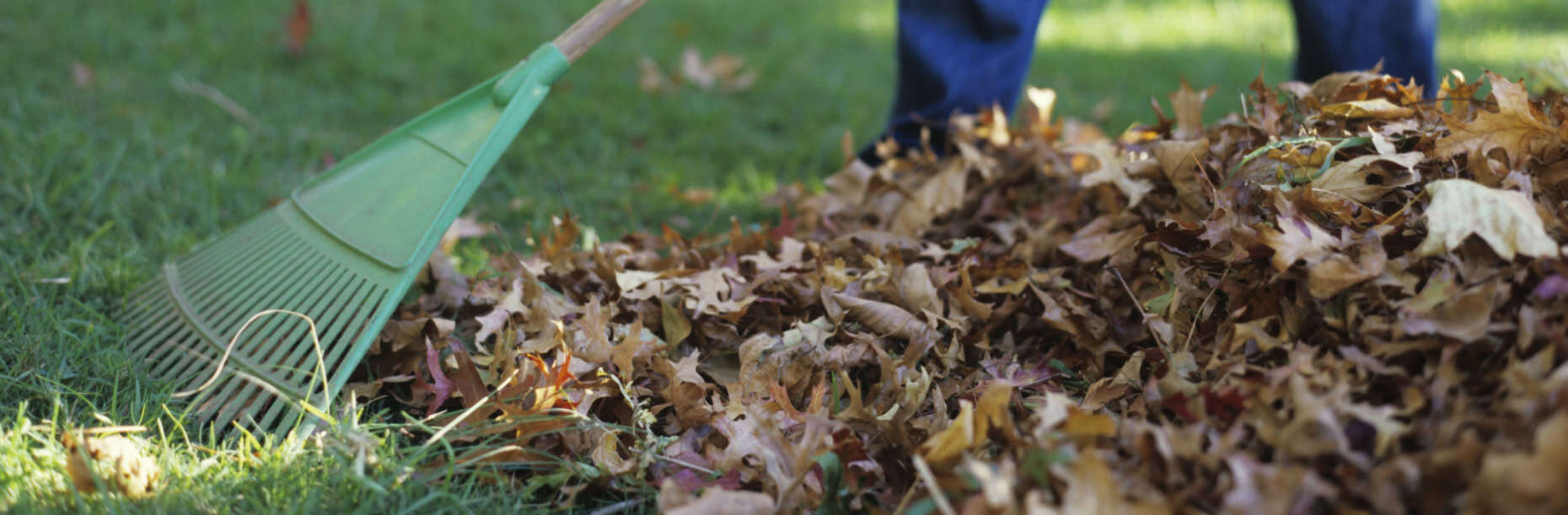 garden waste