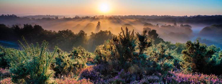 Sunset in Surrey Hills 