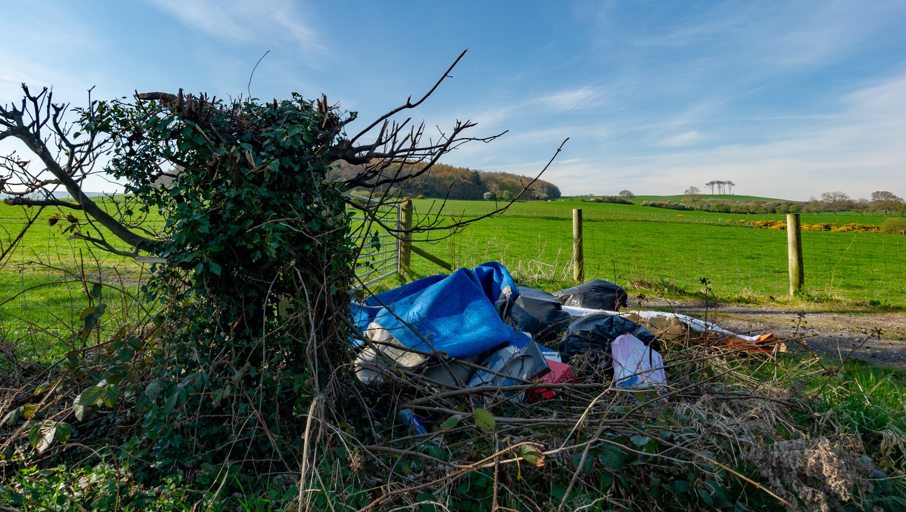 Surrey Environment Partnership calls for tougher legal action on fly-tippers