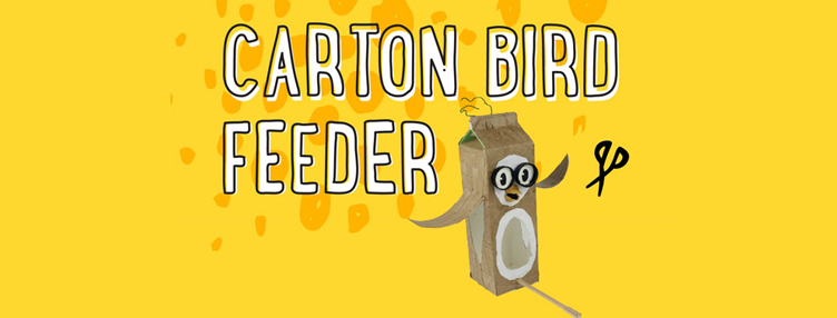 Make your own bird feeder from a carton!