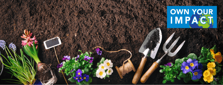 Home composting