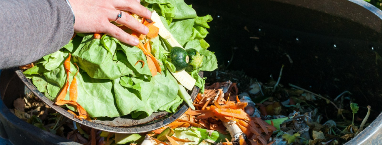 Order a free compost bin for schools