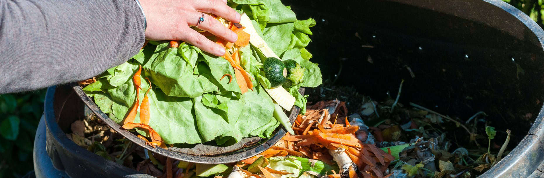 What to compost