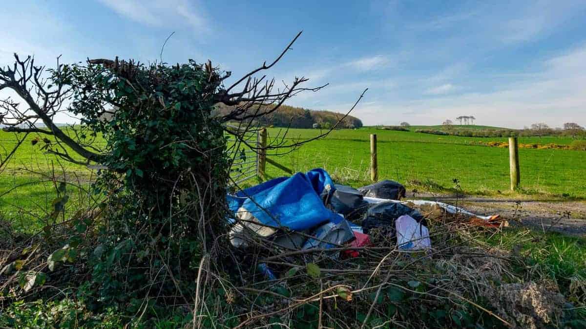 Bags of rubbish and a blue tarpaulin dumped in a hedgerow beside a countryside field
